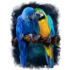 Norimpex: Malowanie po Numerach - Papugi