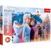 Trefl Puzzle Maxi 24 el Frozen 2 14298