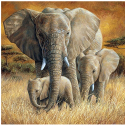Norimpex: Malowanie po Numerach - Słoń