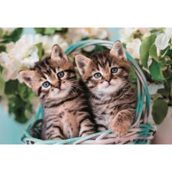 CLEMENTONI: Puzzle 60 Urocze kotki bliźniaki Kitty